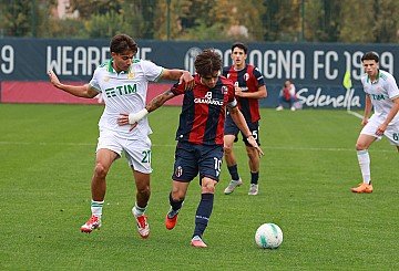 Press Release cover image