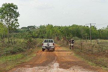 Press Release cover image