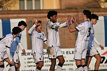 Press Release cover image