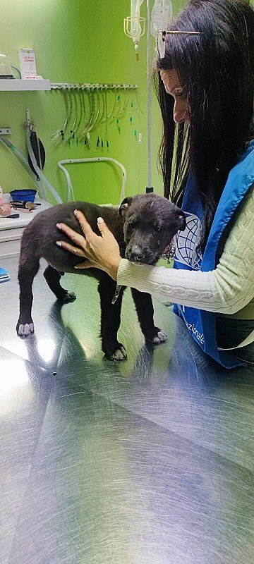 Press Release cover image