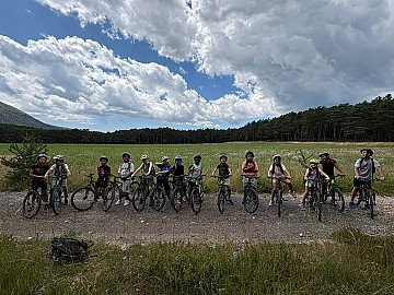 Press Release cover image