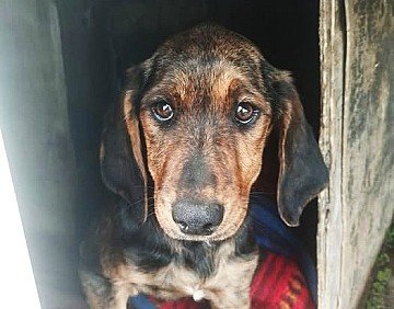 Press Release cover image