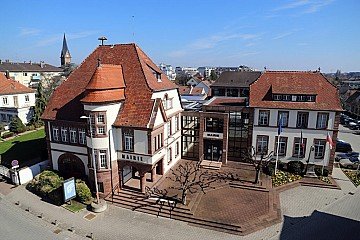 Press Release cover image