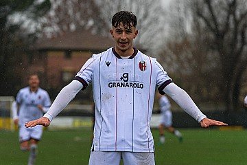 Press Release cover image