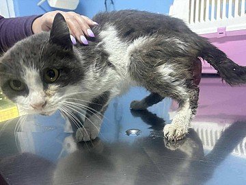 Press Release cover image