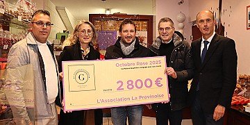 Press Release cover image