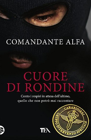 Press Release cover image