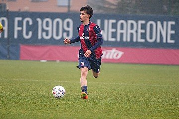 Press Release cover image