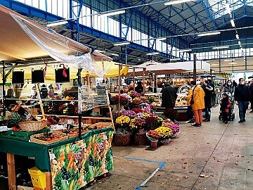 Press Release cover image