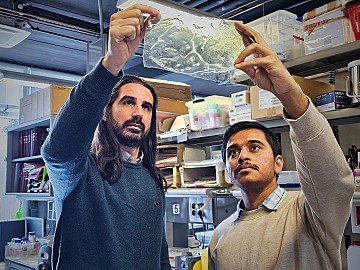 Press Release cover image