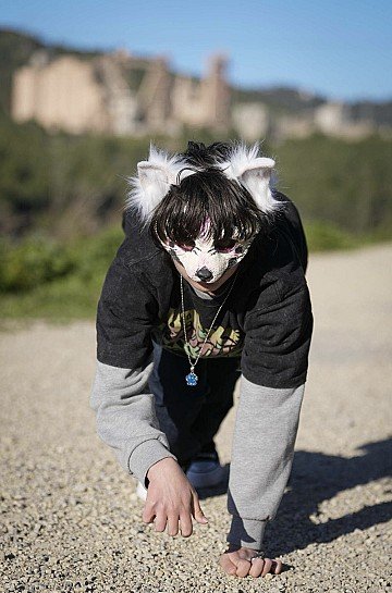 Press Release cover image