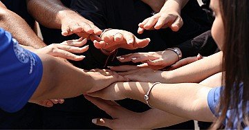 Press Release cover image