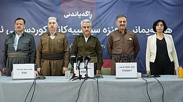 Press Release cover image