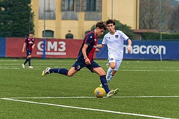 Press Release cover image