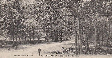 Press Release cover image