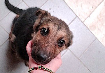 Press Release cover image