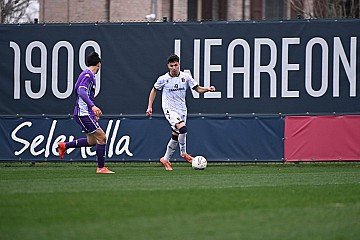 Press Release cover image