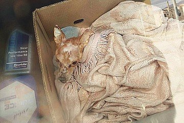 Press Release cover image