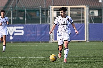 Press Release cover image