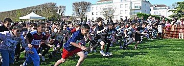 Press Release cover image