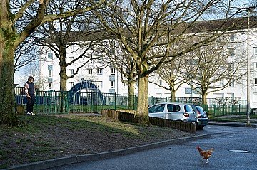 Press Release cover image