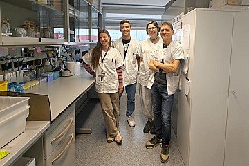 Press Release cover image