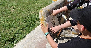 Press Release cover image