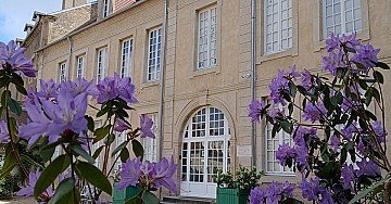 Press Release cover image