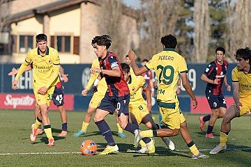 Press Release cover image