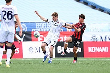 Press Release cover image