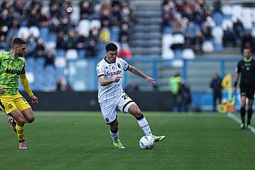 Press Release cover image