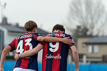 Press Release cover image