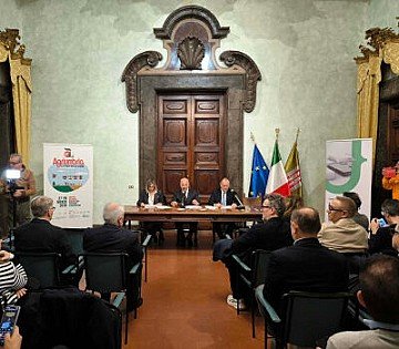 Press Release cover image