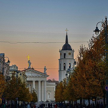 Press Release cover image