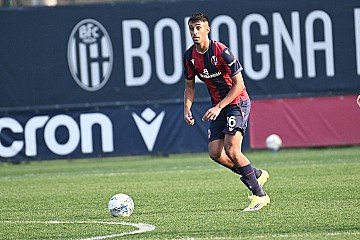 Press Release cover image