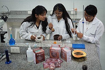 Press Release cover image