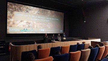 Press Release cover image