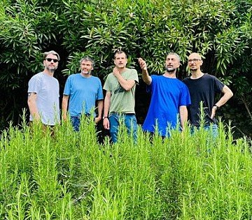 Press Release cover image