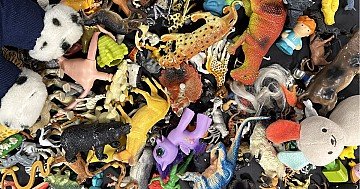 Press Release cover image