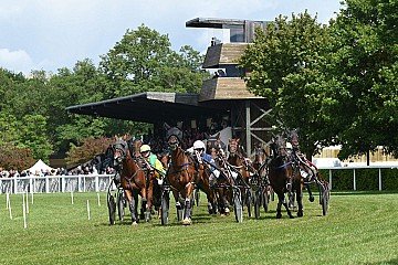 Press Release cover image