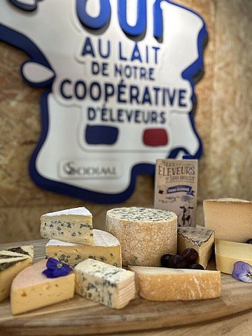 Press Release cover image