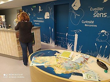 Press Release cover image