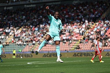 Press Release cover image