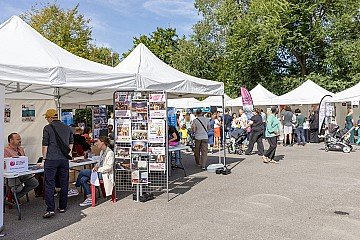 Press Release cover image