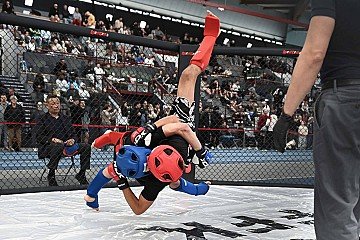 Press Release cover image