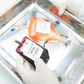 Press Release cover image