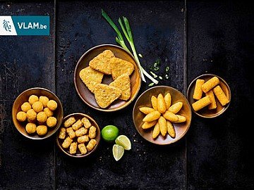 Press Release cover image