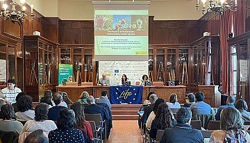 Press Release cover image