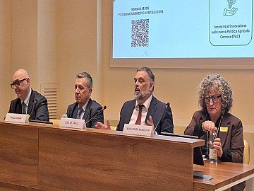 Press Release cover image