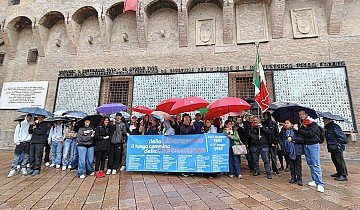 Press Release cover image